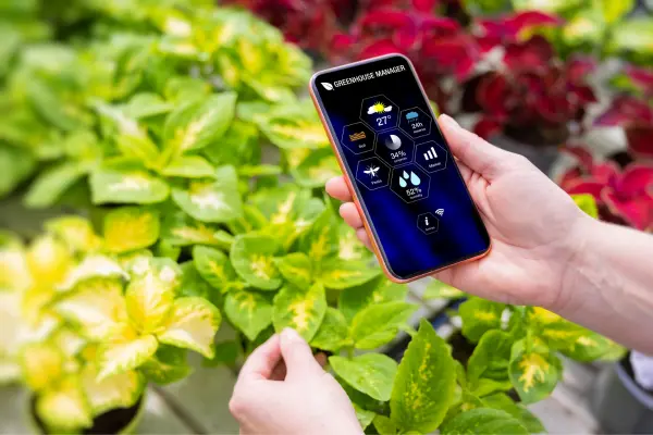 Apps to identify plants